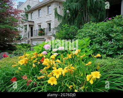 fiori colorati e gigli gialli e rossi nel giardino di fronte su una strada residenziale Foto Stock