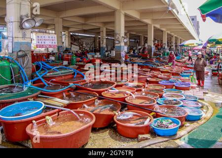 12 luglio 2021-Samcheok-A Vista del villaggio di mercato di cibo di mare e della scena portuale a Donghae, Corea del Sud. Foto Stock