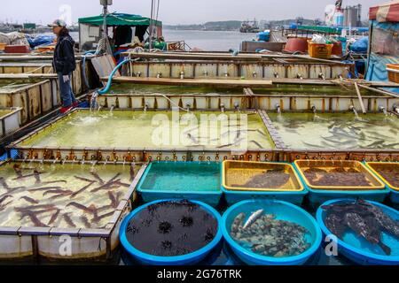 12 luglio 2021-Samcheok-A Vista del villaggio di mercato di cibo di mare e della scena portuale a Donghae, Corea del Sud. Foto Stock