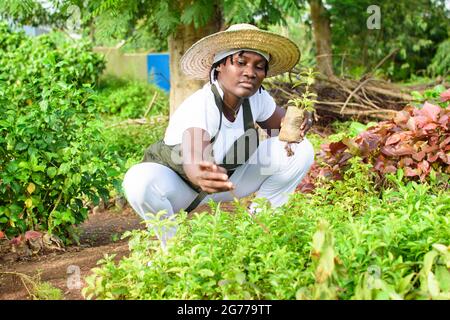 Donna africana giardiniere, fiorista o orticoltore che indossa un grembiule e un cappello, lavorando in un giardino di fiori e piante verdi e colorati Foto Stock