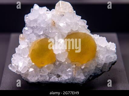 Freiberg, Germania. 07 luglio 2021. Questo esemplare di fluorite-quarzo-calcite proveniente dall'India, che si può vedere nella collezione di minerali 'Terra Mineralia' della tu Bergakademie di Freiberg, assomiglia a un uovo fritto. Dopo otto mesi di chiusura a causa della corona, la mostra del Castello di Freudenstein riapre ai visitatori il 15 luglio. La mostra espone circa 3500 cristalli, minerali, gemme e meteoriti provenienti da cinque continenti. Con l'inizio delle vacanze estive in Sassonia, anche le offerte educative del museo per le famiglie iniziano di nuovo. Credit: Hendrik Schmidt/dpa-Zentralbild/ZB/dpa/Alamy Live News Foto Stock