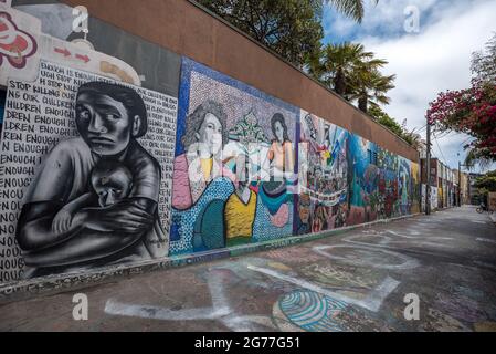 I murales fiancheggiano Clarion Alley con temi di identità Latina e separazione dei bambini nel Mission District di San Francisco. Foto Stock