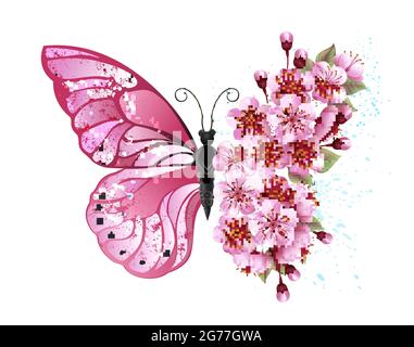 Disposizione floreale di farfalla rosa con fiori di ciliegio giapponesi rosa su sfondo bianco. Illustrazione Vettoriale