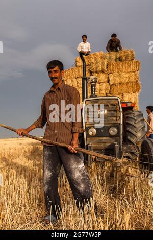 Coltivatori che fanno le balle di paglia in campo di grano, bagliore di sera, organo, Provincia di Golestan, Iran, Persia, Asia occidentale, Asia Foto Stock