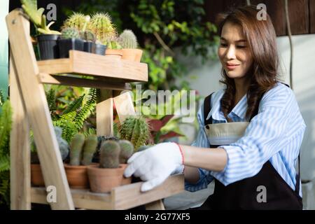 Donna asiatica casalinga in grembiule seduta e disposizione pentole di cactus come hobby in casa graden. Foto Stock