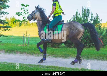 Concorrente rivale ragazza cavallo equitazione in estate campo meadow.Young pilota galoppe attraverso il sole estate day.rivalry concetto. Foto Stock