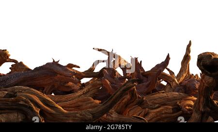 driftwood, mucchio di rami invecchiati isolato su sfondo bianco Foto Stock