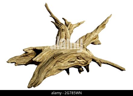 driftwood, legno invecchiato isolato su sfondo bianco Foto Stock