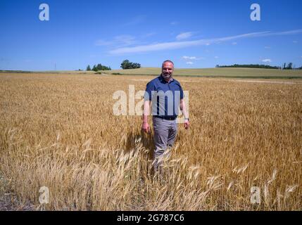 Grimma, Germania. 06 luglio 2021. Torsten Krawczyk, presidente della Saxon state Farmers' Association (SLB), si trova in un campo di orzo in Sassonia. Credit: Robert Michael/dpa-Zentralbild/ZB/dpa/Alamy Live News Foto Stock