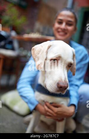 ritratto di un bel retriever di labrador inglese, abbracciato dal suo proprietario. fuoco selettivo Foto Stock