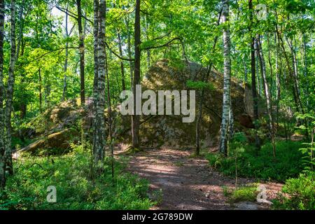 Kaminne selo o villaggio di pietra. Famoso punto di riferimento in Ucraina. Grandi pietre in profondità nella foresta. Foto Stock