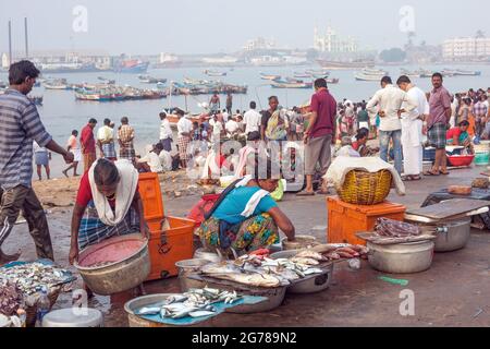 Le donne indiane commercianti di pesce che indossano saris colorati che vendono i loro prodotti al porto di Vizhinjam, Kerala, India Foto Stock