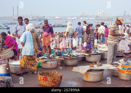 Le donne indiane commercianti di pesce che indossano saris colorati che vendono i loro prodotti al porto di Vizhinjam, Kerala, India Foto Stock