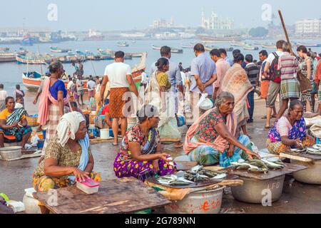 Le donne indiane commercianti di pesce che indossano saris colorati che vendono i loro prodotti al porto di Vizhinjam, Kerala, India Foto Stock