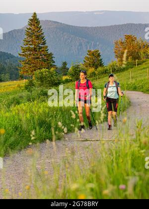 Escursioni sul Zweälersteig, sentiero escursionistico verso la cima del Kandel, vista in direzione est Foto Stock