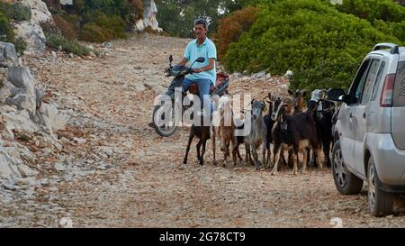 Isole IONIE, Ithaca, Isola di Ulisse, costa nord-est, Baia di Marmakas, autisti ciclomotori, mandrie di capre e auto su una strada sterrata Foto Stock