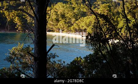 Isole IONIE, Ithaca, Isola di Ulisse, Vathi, Spiaggia di Loutsa, vista della spiaggia attraverso gli alberi, acqua verde Foto Stock