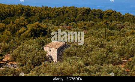 Isole IONIE, Zante, villaggio Kiliomenos, foresta, vecchia casa in pietra, mare sopra sullo sfondo Foto Stock