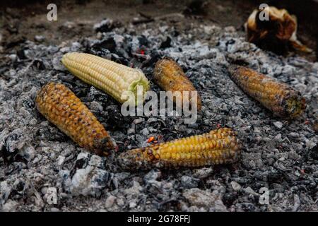 Mais, mais sulla pannocchia, barbecue, fresco, giardino, estate Foto Stock