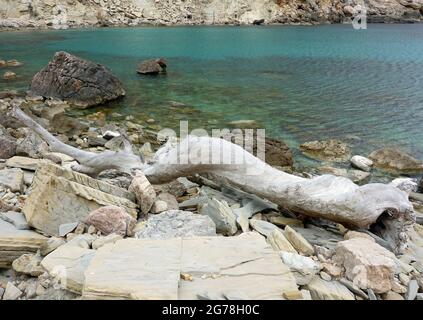 Maiorca, Isole Baleari Foto Stock