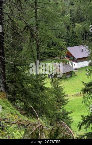 Europa, Austria, Tirolo, Ötztal Alpi, Ötztal, Längenfeld, vista sulla stazione di snack Wiesle nella foresta di montagna vicino a Längenfeld Foto Stock