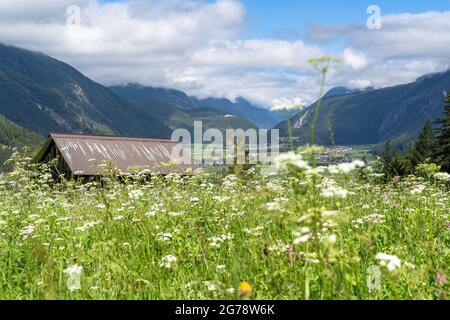 Europa, Austria, Tirolo, Ötztal Alpi, Ötztal, Längenfeld, vista su un prato di montagna in fiore fino al bacino della valle di Längenfeld Foto Stock