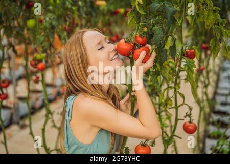 Primo piano di donna che tiene i pomodori sul ramo accanto al viso, pensando di mangiarlo Foto Stock