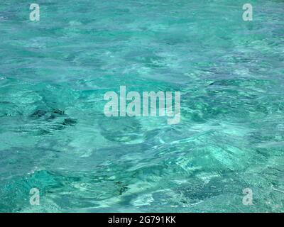 Monumento naturale Half Moon Caye, Belize, America Centrale Foto Stock