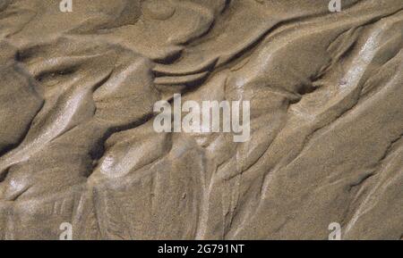 modelli di sabbia bagnata sulla costa della cornovaglia Foto Stock