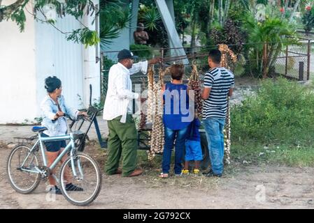 Popolo cubano che acquista aglio dal carro rurale Holguin, Cuba, novembre 2016 Foto Stock
