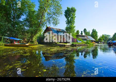 La casa gialla sul lago, il suo tetto è un po' arrugginito. Alberi verdi, barche. Vista del lago dal a Srinagar, Stato del Kashmir, India. Giugno 2018 Foto Stock