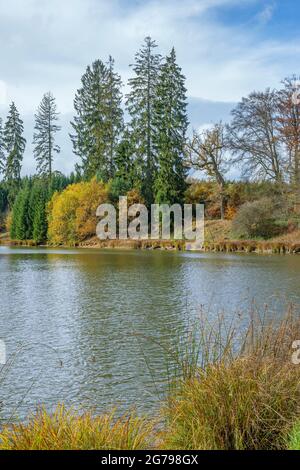 Germania, Baden-Wrttemberg, Sigmaringen, Ablacher Weiher nella foresta di Josefslust, un terreno di caccia della Casa di Hohenzollern. Il Josefslust Park è aperto al pubblico come area ricreativa locale. Foto Stock