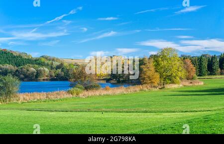 Germania, Baden-Wuerttemberg, Illmensee, paesaggio autunnale a Illmensee. L'Illmensee si trova nell'area FFH 8122-342 'Pfrunger Ried und See bei Illmensee'. Nella riserva naturale si trova l'altopiano del lago dell'era glaciale con l'Illmensee, il Ruschweiler See e il Volzer See. Foto Stock