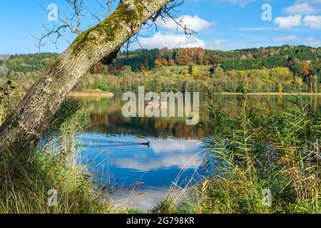 Germania, Baden-Wuerttemberg, Illmensee, barca da pesca, pescatori sull'Illmensee. L'Illmensee si trova nell'area FFH 8122-342 'Pfrunger Ried und See bei Illmensee'. Nella riserva naturale si trova l'altopiano del lago dell'era glaciale con l'Illmensee, il Ruschweiler See e il Volzer See. Foto Stock