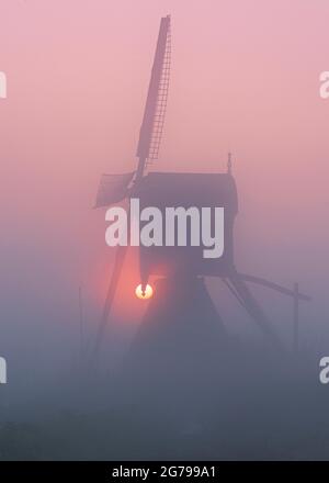 Impressioni di un'escursione primaverile all'alba e alla nebbia in Sud Olanda nella regione di Alblasserwaard Vijfheerenlanden vicino a Kinderdijk: mulino all'alba e alla nebbia. Foto Stock