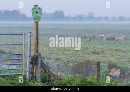 Impressioni di un'escursione primaverile all'alba e alla nebbia nell'Olanda del Sud nella regione di Alblasserwaard Vijfheerenlanden vicino a Kinderdijk: Indicazioni per percorsi escursionistici, pecore sullo sfondo Foto Stock