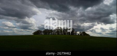 Gogmagog Hills conosciuto anche come Gog Magog Downs, Cambridge, Cambridgeshire, Inghilterra, Regno Unito. Maggio 2016 il Gog Magog Downs (conosciuto anche come Gog Magog Hills o Foto Stock