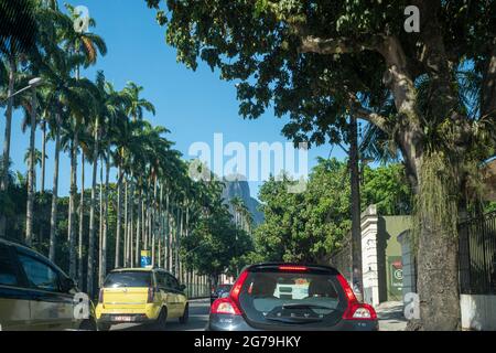 Monte Corcovado e statua di Cristo vista da Jardim Botanico, Rio de Janeiro, Brasile Foto Stock