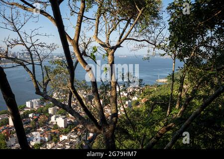 Una passeggiata da Praia Vermelha (Spiaggia Rossa), le acque oceaniche e le montagne circostanti, attraverso gli alberi del sentiero del Pan di zucchero, situato a Rio De Janeiro, Brasile. Foto Stock