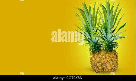 Ananas su sfondo giallo isolato Foto Stock