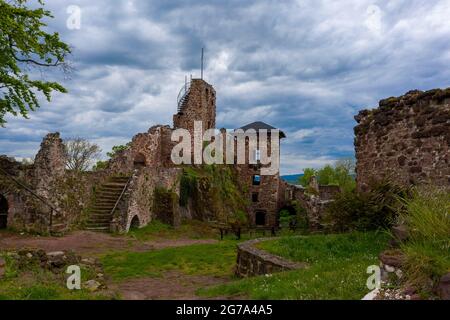 Germania, Sassonia-Anhalt, Neustadt, rovine del castello di Hohnstein vicino a Neustadt nel distretto Turingia di Nordhausen. Foto Stock