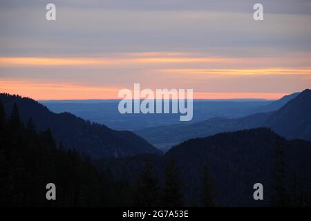 Escursione fino allo Steppergalm 1583 m, vicino a Garmisch, Alpi Ammergau, alta Baviera, Baviera, Germania, primavera, vista suggestiva dell'Ammertal, alba in primo piano Foto Stock