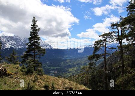 Escursione fino allo Steppergalm 1583 m, vicino a Garmisch, Alpi Ammergau, alta Baviera, Baviera, Germania, primavera, vista sui Monti Wetterstein, Zugspitze, atmosferica, Foto Stock
