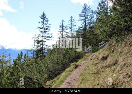 Escursione a Stepbergalm 1583 m, nei pressi di Garmisch, Alpi Ammergau, alta Baviera, Baviera, Germania, primavera, sentiero escursionistico, cancello, atmosfera Foto Stock