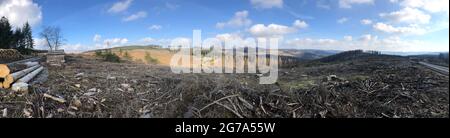 Pendii di montagna senza abete rosso a causa della siccità Foto Stock