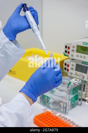 Bonn, Nord Reno-Westfalia, Germania - Ricerca nel campo dell'immunologia e dell'infettologia presso il Centro Biomedico II dell'Ospedale Universitario Bon Foto Stock