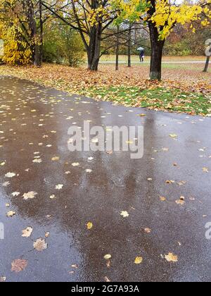 Giorno di pioggia in autunno Foto Stock