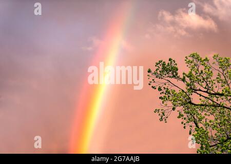 Arcobaleno al sole di sera Foto Stock