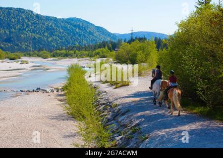 Cavalieri nella riserva naturale sull'Isar vicino a Wallgau. Non è consentito fare equitazione nella riserva naturale. Foto Stock