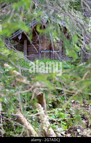 capanna nascosta nella foresta Foto Stock